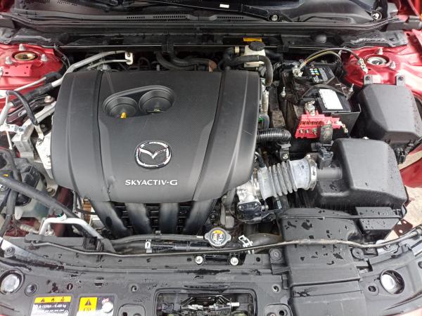 tn_              42546_250630172244.jpg